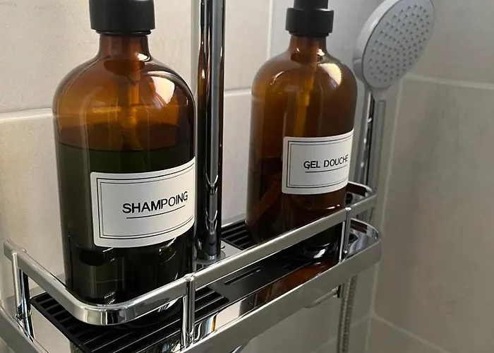 Sabl'appart Gare 公寓