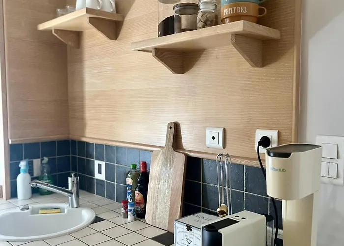 公寓 Sabl'appart Gare 莱萨布勒-多洛讷